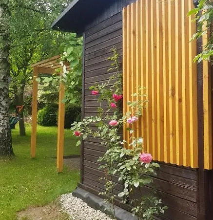 Szyszka I Róża Na Jurze * Zelazko