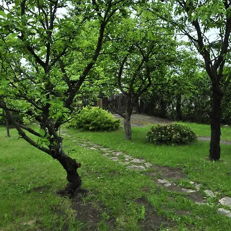 Szyszka I Róża Na Jurze
