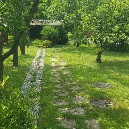 Szyszka I Róża Na Jurze