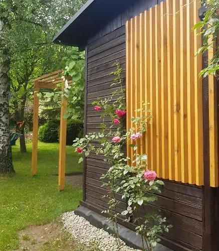 Szyszka I Roza Na Jurze * Zelazko