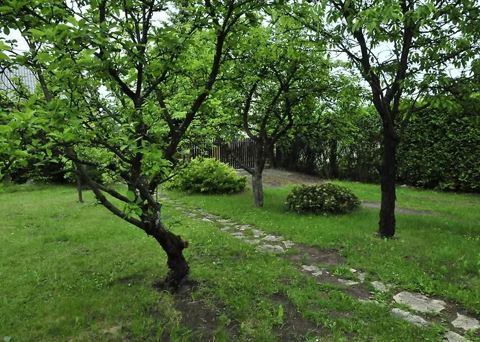 Szyszka I Roza Na Jurze