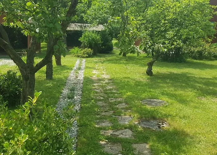 Szyszka I Roza Na Jurze